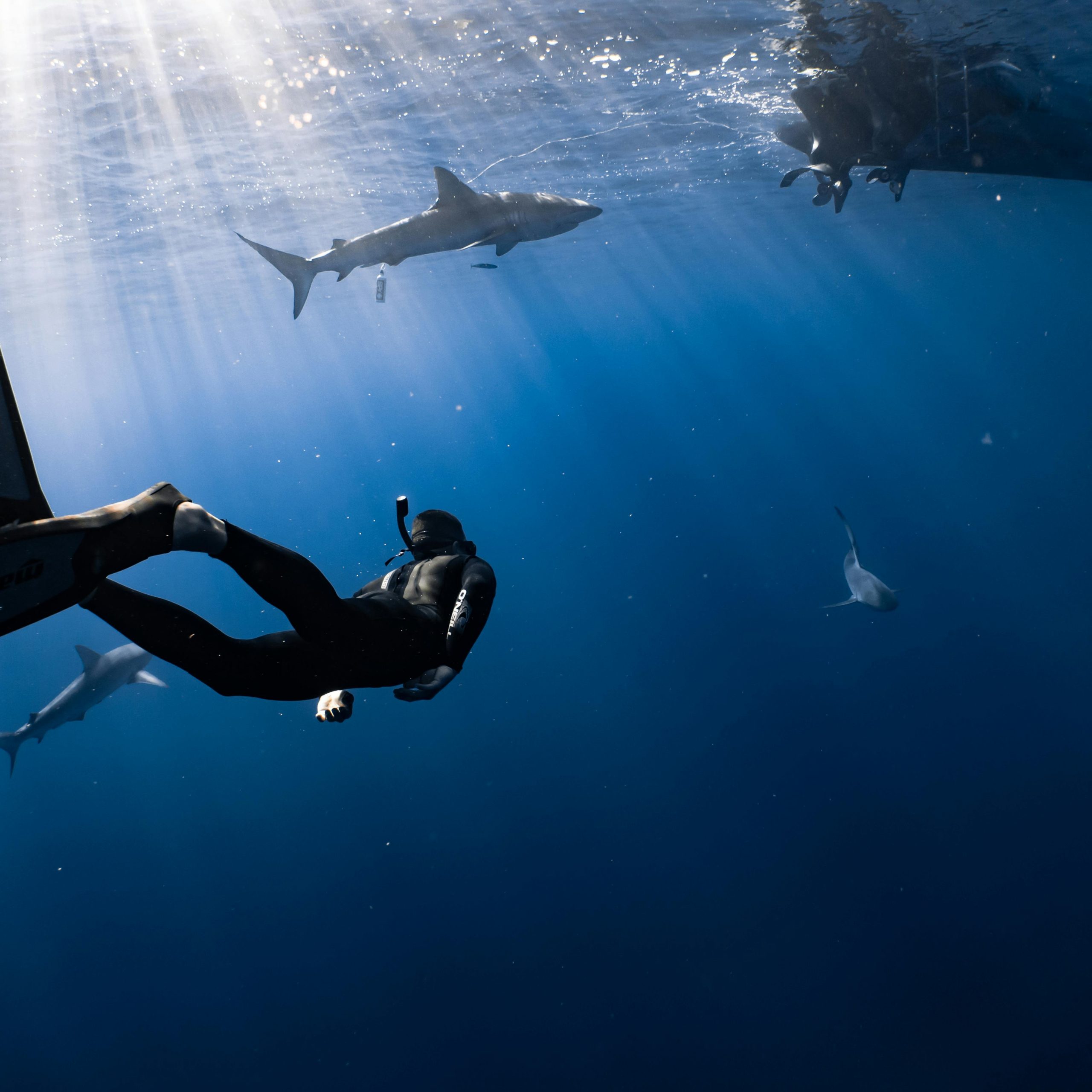 pexels-alohaphotostudio-6961666